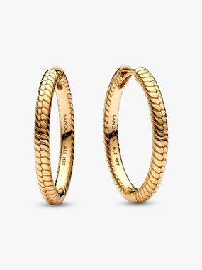 Pandora Moments Charm Hoop Earrings